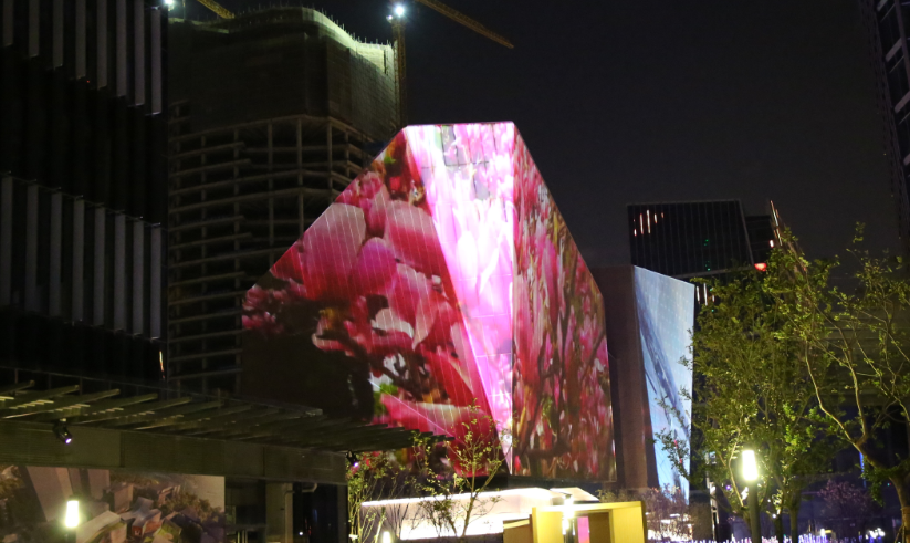 綻放新時(shí)代